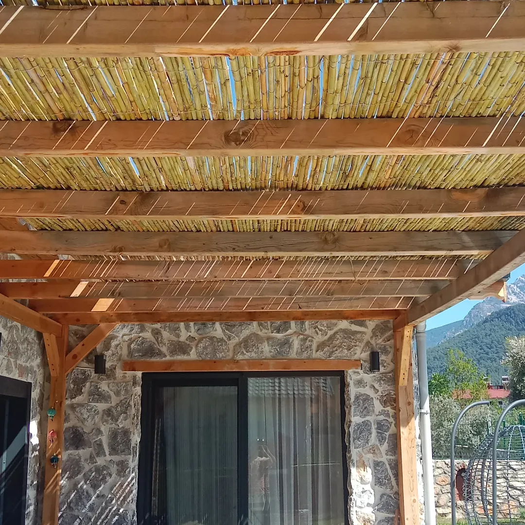 Kamış Çatı